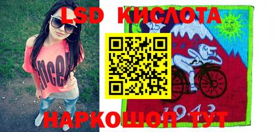 гашик Будённовск
