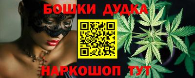 гашик Будённовск